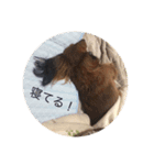 れお・らんスタンプ_01（個別スタンプ：8）