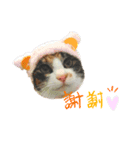 あずきと麦（個別スタンプ：11）