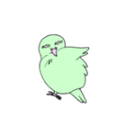 サザナミインコ・スズメ・ハト のスタンプ（個別スタンプ：4）