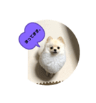 くぅのいちにち。そのいち！（個別スタンプ：1）