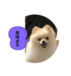 くぅのいちにち。そのいち！（個別スタンプ：3）