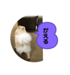 くぅのいちにち。そのいち！（個別スタンプ：4）