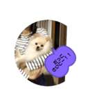 くぅのいちにち。そのに（個別スタンプ：1）