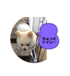 くぅのいちにち。そのに（個別スタンプ：2）