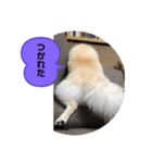 くぅのいちにち。そのに（個別スタンプ：5）