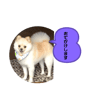 くぅのいちにち。そのに（個別スタンプ：7）