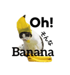 CAT M 1（個別スタンプ：2）