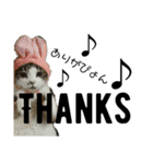 CAT M 1（個別スタンプ：6）