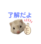 ぽんたまスタンプ1（個別スタンプ：15）