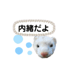 ぽんたまスタンプ1（個別スタンプ：36）