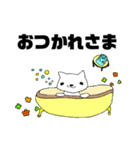 ドクターキャット（個別スタンプ：6）