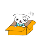 ドクターキャット（個別スタンプ：20）