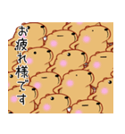 きゃぴばら ☆毎日使える日常編2☆（個別スタンプ：16）