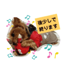 ヨーキーはる の毎日スタンプ。（個別スタンプ：15）