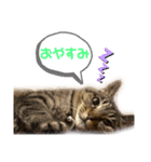 そら様とはりゅ（個別スタンプ：7）