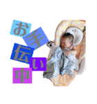 結晴ちゃんスタンプ！（個別スタンプ：26）