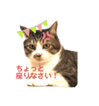 きょったんといっしょ1（個別スタンプ：4）
