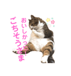 きょったんといっしょ1（個別スタンプ：8）