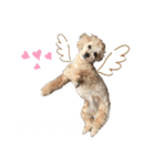 サランちゃんDiary（個別スタンプ：3）