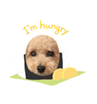 サランちゃんDiary（個別スタンプ：6）