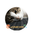 キキの日常！（個別スタンプ：3）
