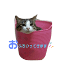キキの日常！（個別スタンプ：5）