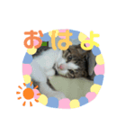 キキの日常！（個別スタンプ：7）