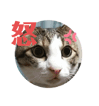 キキの日常！（個別スタンプ：8）