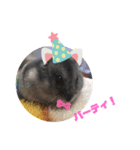 サモ5（個別スタンプ：6）