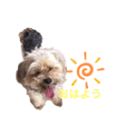 RARAの毎日（個別スタンプ：4）