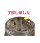 ステップレミング☆ごまくん（個別スタンプ：1）