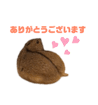 ステップレミング☆ごまくん（個別スタンプ：6）