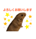 ステップレミング☆ごまくん（個別スタンプ：10）