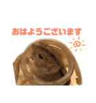 ステップレミング☆ごまくん（個別スタンプ：14）
