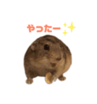 ステップレミング☆ごまくん（個別スタンプ：18）