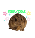 ステップレミング☆ごまくん（個別スタンプ：27）