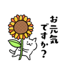 夏のネコ【敬語】（個別スタンプ：3）