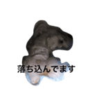 ぽっぽちゃん（シーズーの日常）（個別スタンプ：5）