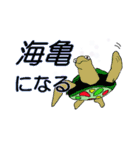 亀さん海に行く（個別スタンプ：5）