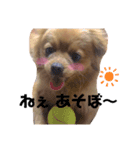 ラリーのすたんぷ（個別スタンプ：3）