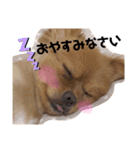 ラリーのすたんぷ（個別スタンプ：5）
