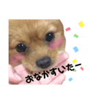 ラリーのすたんぷ（個別スタンプ：6）