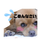 ラリーのすたんぷ（個別スタンプ：8）