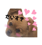 ラリーのすたんぷ（個別スタンプ：9）
