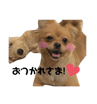 ラリーのすたんぷ（個別スタンプ：12）