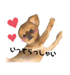 ラリーのすたんぷ（個別スタンプ：16）