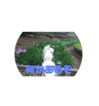 イオの執事より（個別スタンプ：7）