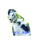 イオの執事より（個別スタンプ：10）