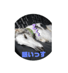 イオの執事より（個別スタンプ：12）