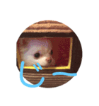 よもぎ4さい（個別スタンプ：2）